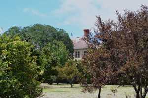 carrick hill 2014 (37)